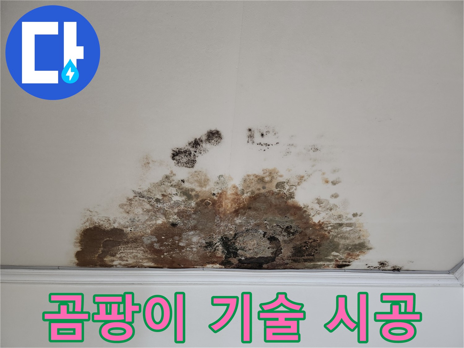 마포구 용강동 누수 - 곰팡이 천장 베테랑 기술 및 확실한 시공 책임