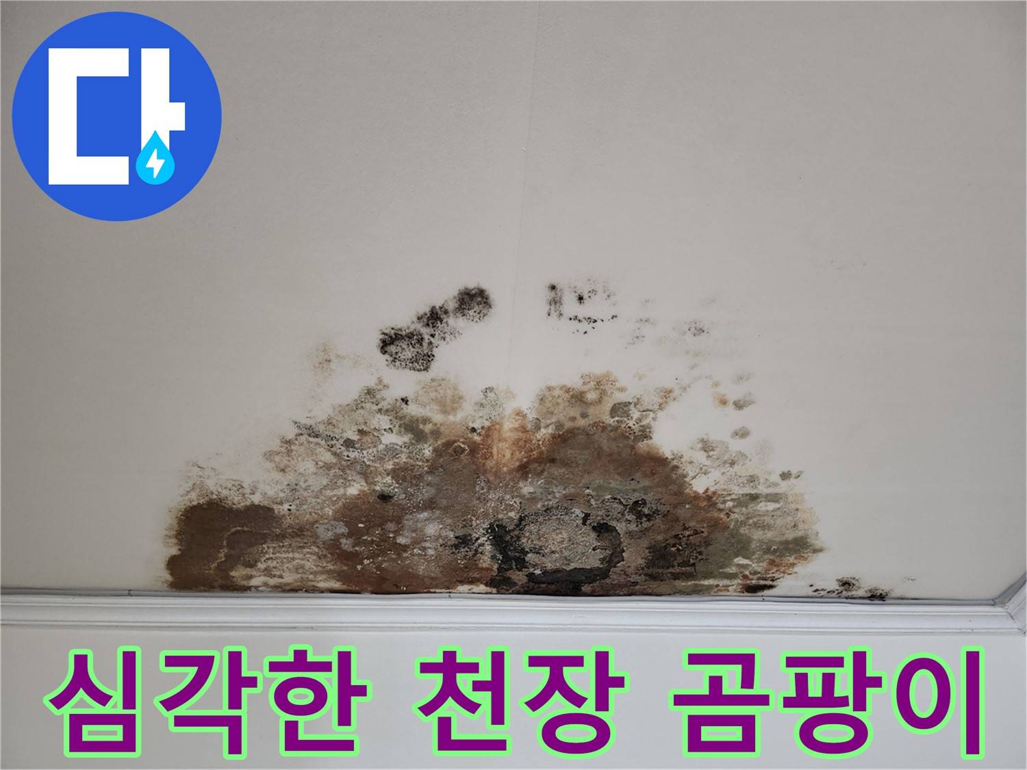 마포구 용강동 아파트 천장 누수로 인한 심각한 곰팡이 발생 - 긴급 누수 해결 과정