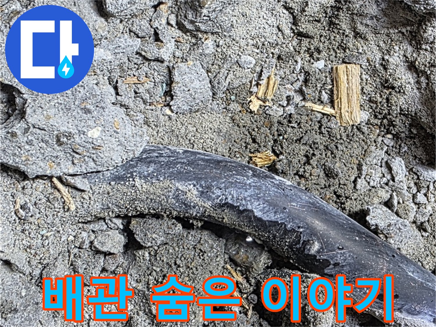마포구 용강동 현대홈타운 - 젖은 흙 - 누수 진행 중 의심