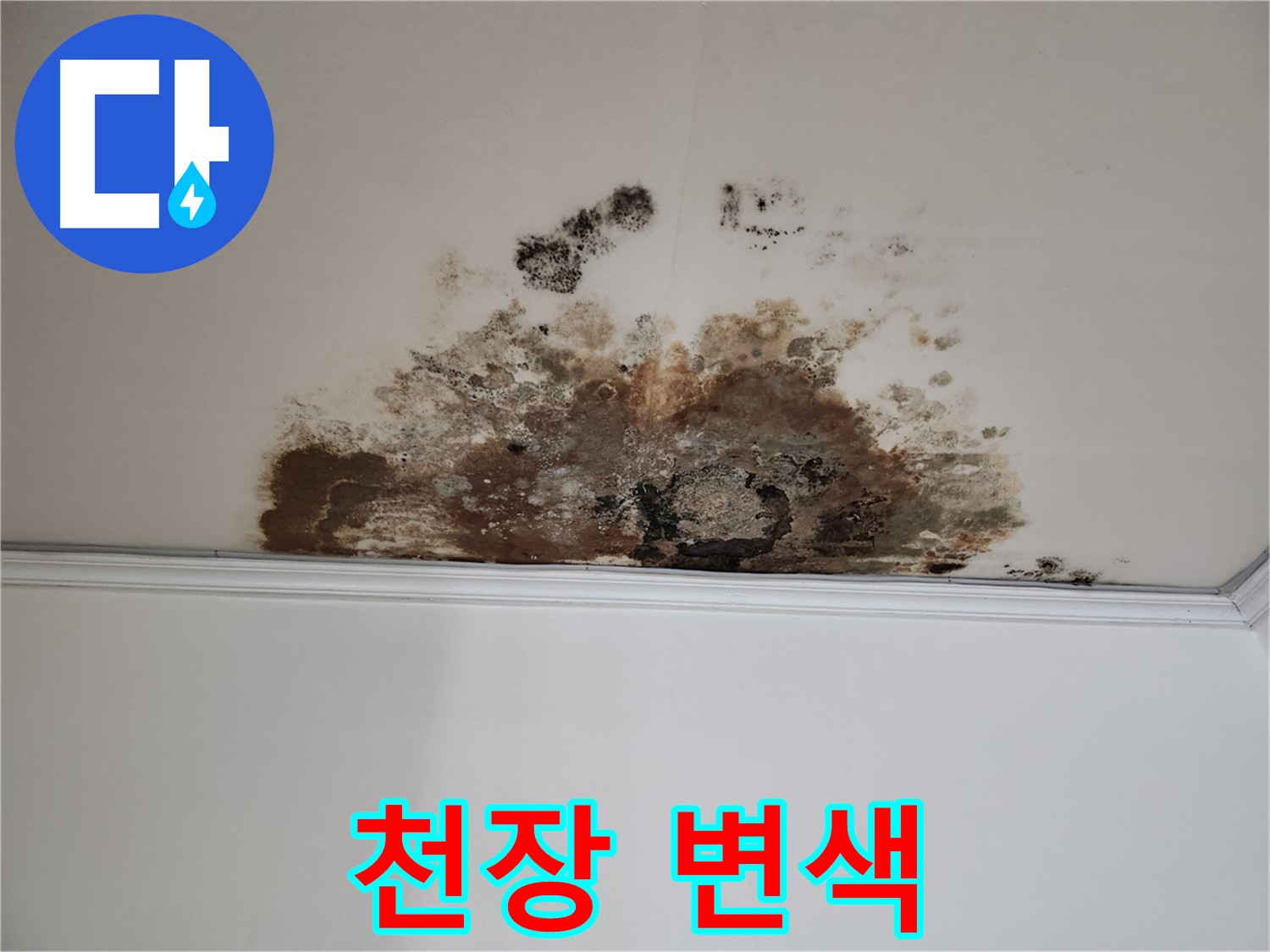 마포구 용강동 현대홈타운 천장 누수 - 천장 변색
