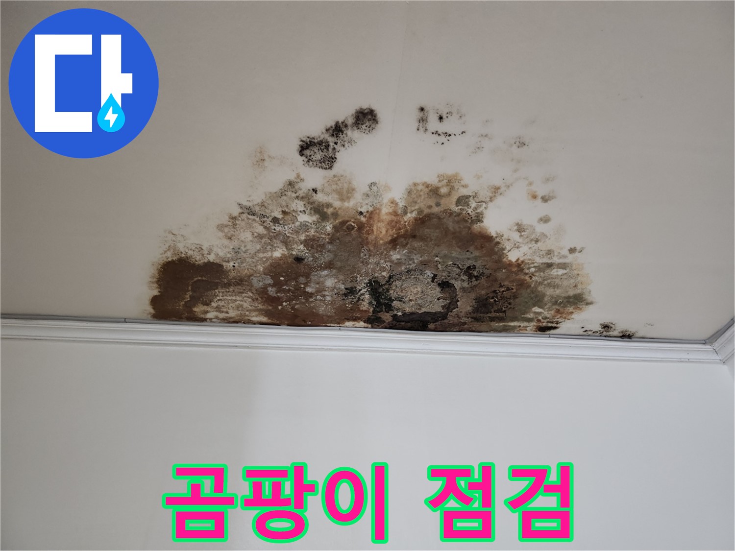 용강동 누수 - 곰팡이 꼼꼼 점검