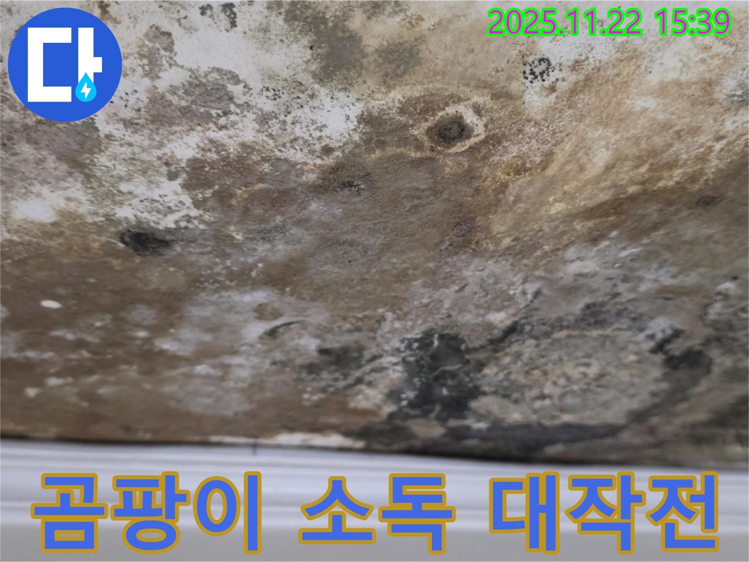 용강동 누수 - 곰팡이 완전 침공, 천장 완전 소독 대작전!