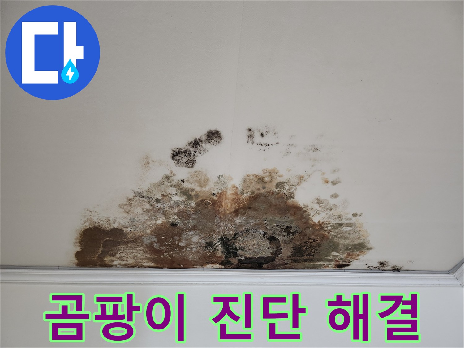 용강동 누수 긴급 - 곰팡이 천장 빠른 진단 및 확실한 해결 보장