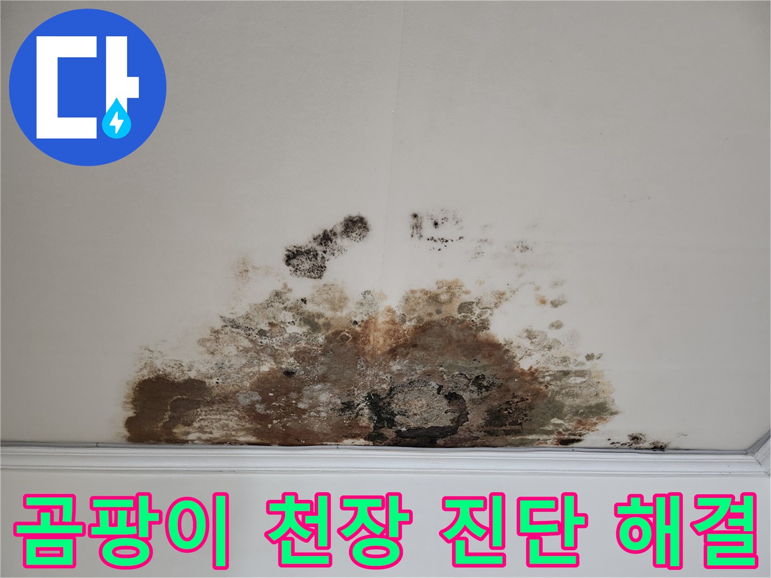 용강동 누수 긴급 - 곰팡이 천장 빠른 진단 확실한 해결 약속
