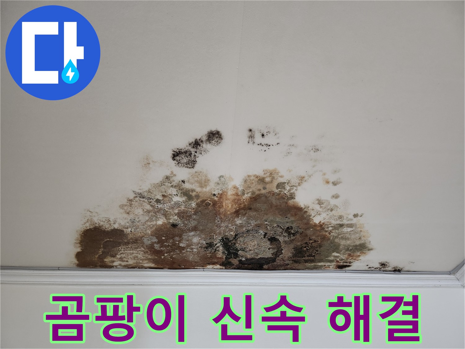 용강동 누수 긴급 - 곰팡이 천장 신속 진단 및 완벽 해결 보장