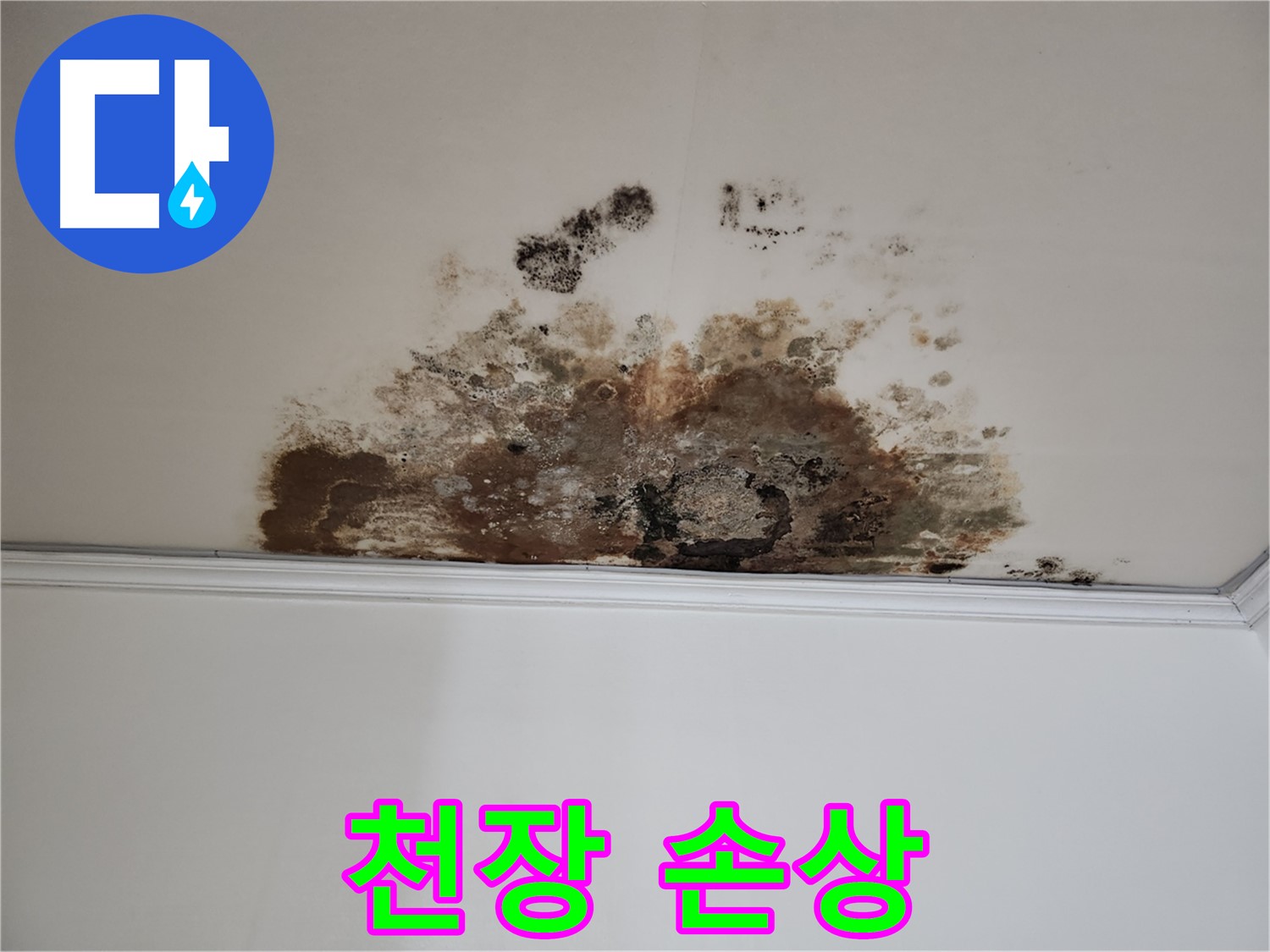 용강동 누수 - 천장 손상 상태