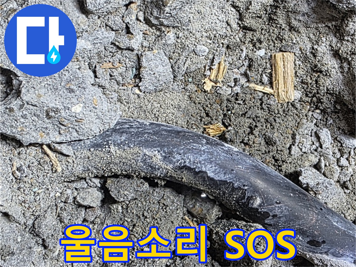 용강동 누수 현장 - 콘크리트 속 낡은 배관의 울음소리가 들리는 듯 - 누수 SOS 신호입니다.