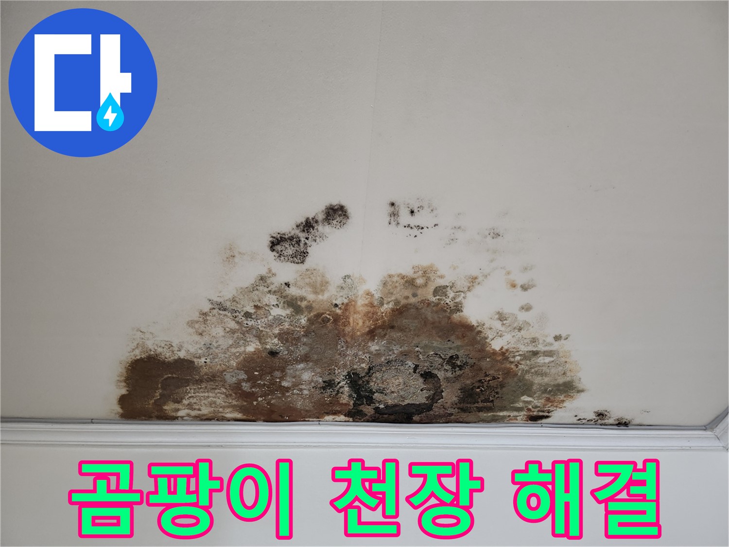 용강동 누수탐지 - 곰팡이 심한 천장의 완벽 해결 비법 공개