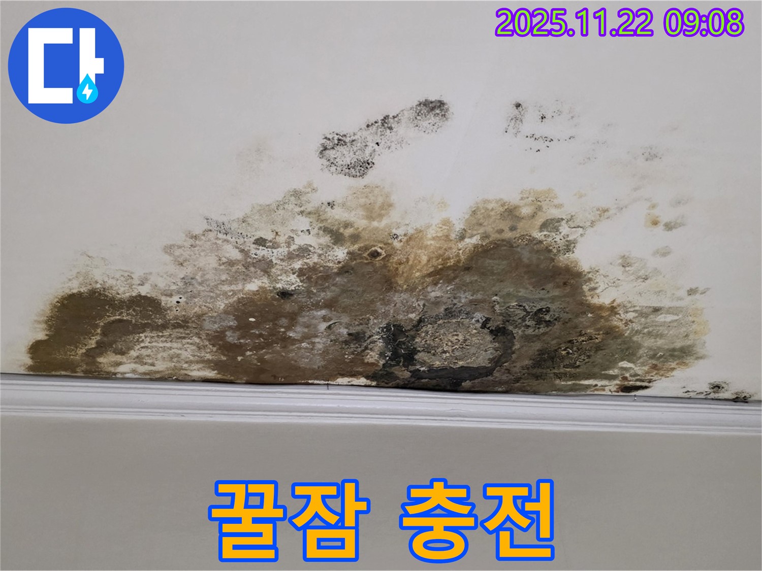 용강동 아파트 누수 - 곰팡이와의 악몽 ByeBye, 쾌적한 공간에서 꿀잠 충전 완료!