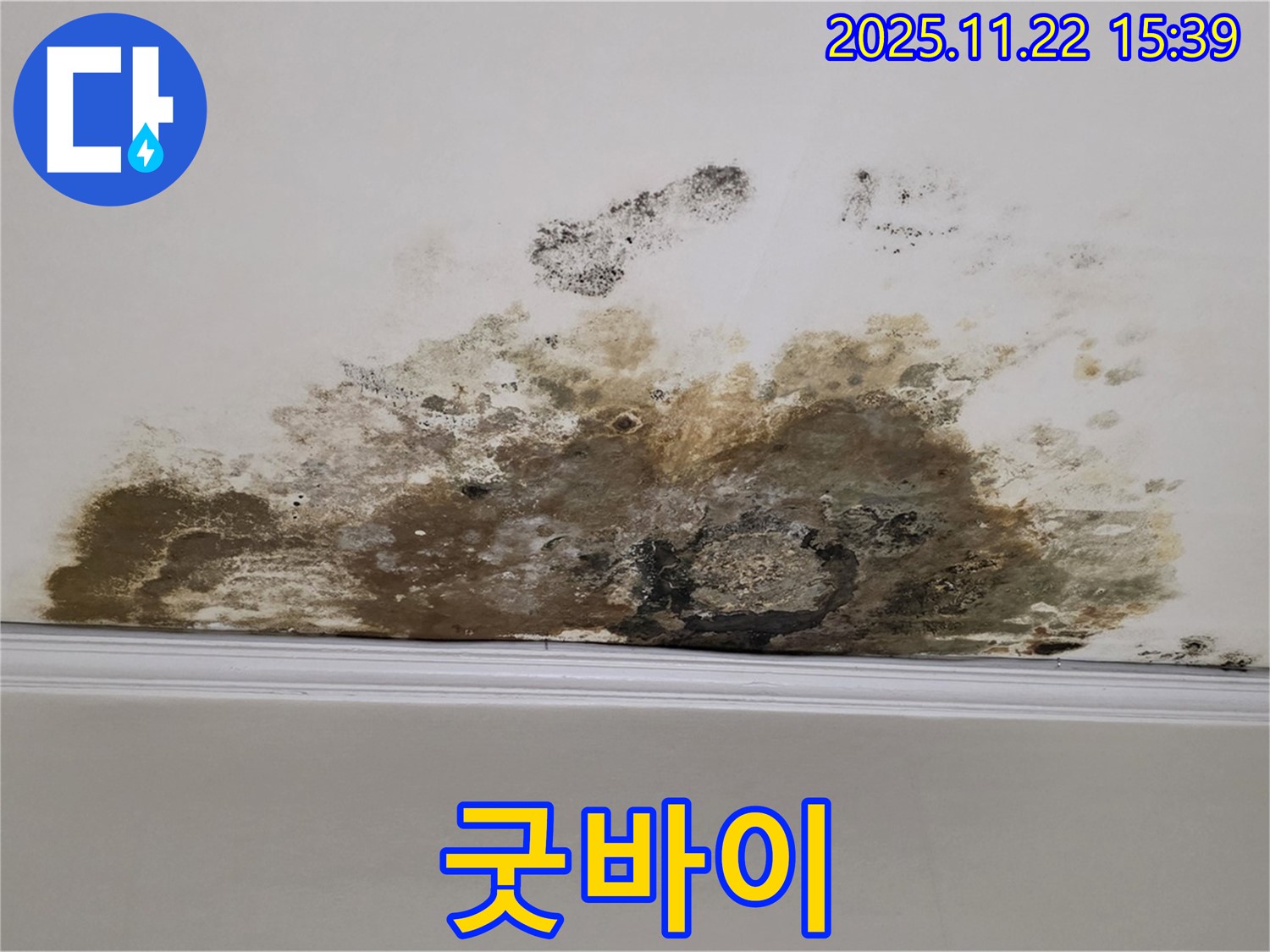 용강동 아파트 누수 - 곰팡이와의 질긴 악연 이제 굿바이, 쾌적한 공간에서 힐링 충전!