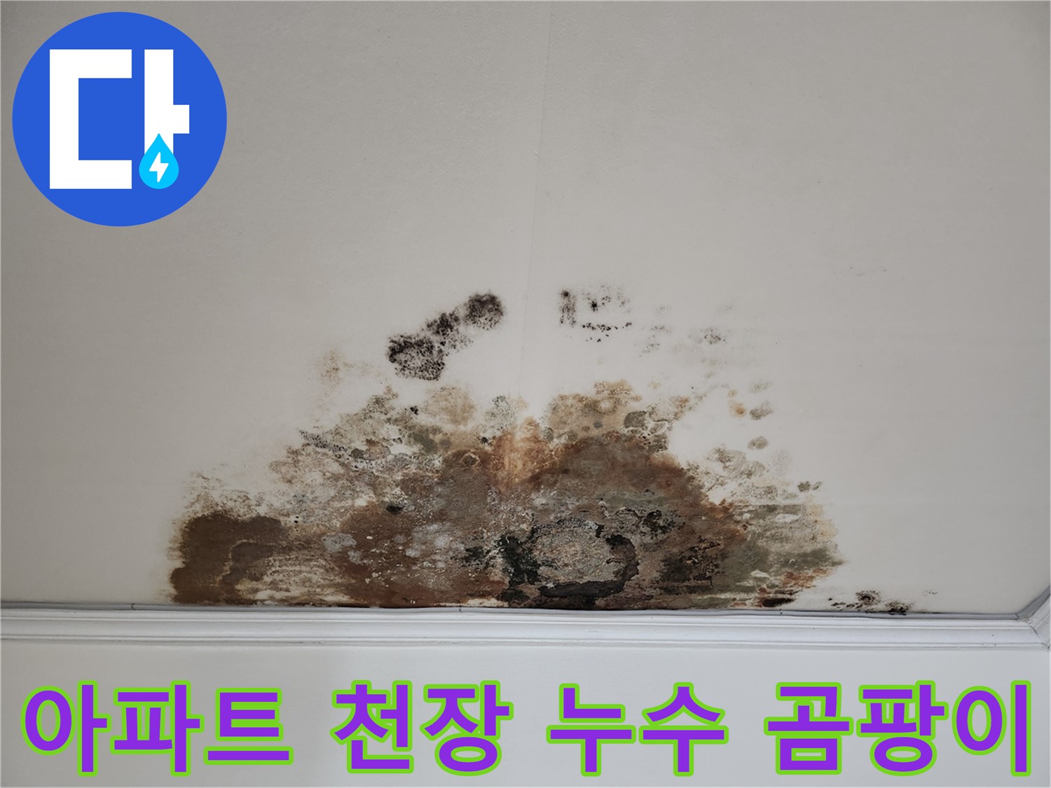 용강동 아파트 천장 누수로 인한 곰팡이 발생 - 정밀 진단을 통한 누수 원인 파악 및 해결