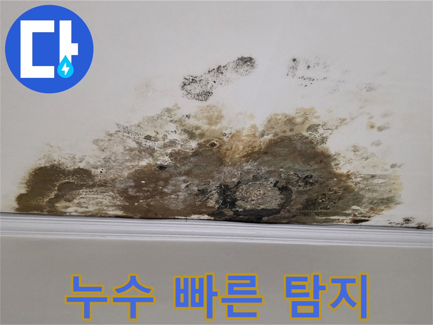 용강동 현대홈타운 누수 - 빠른 누수 탐지와 정확한 공사로 완벽 해결
