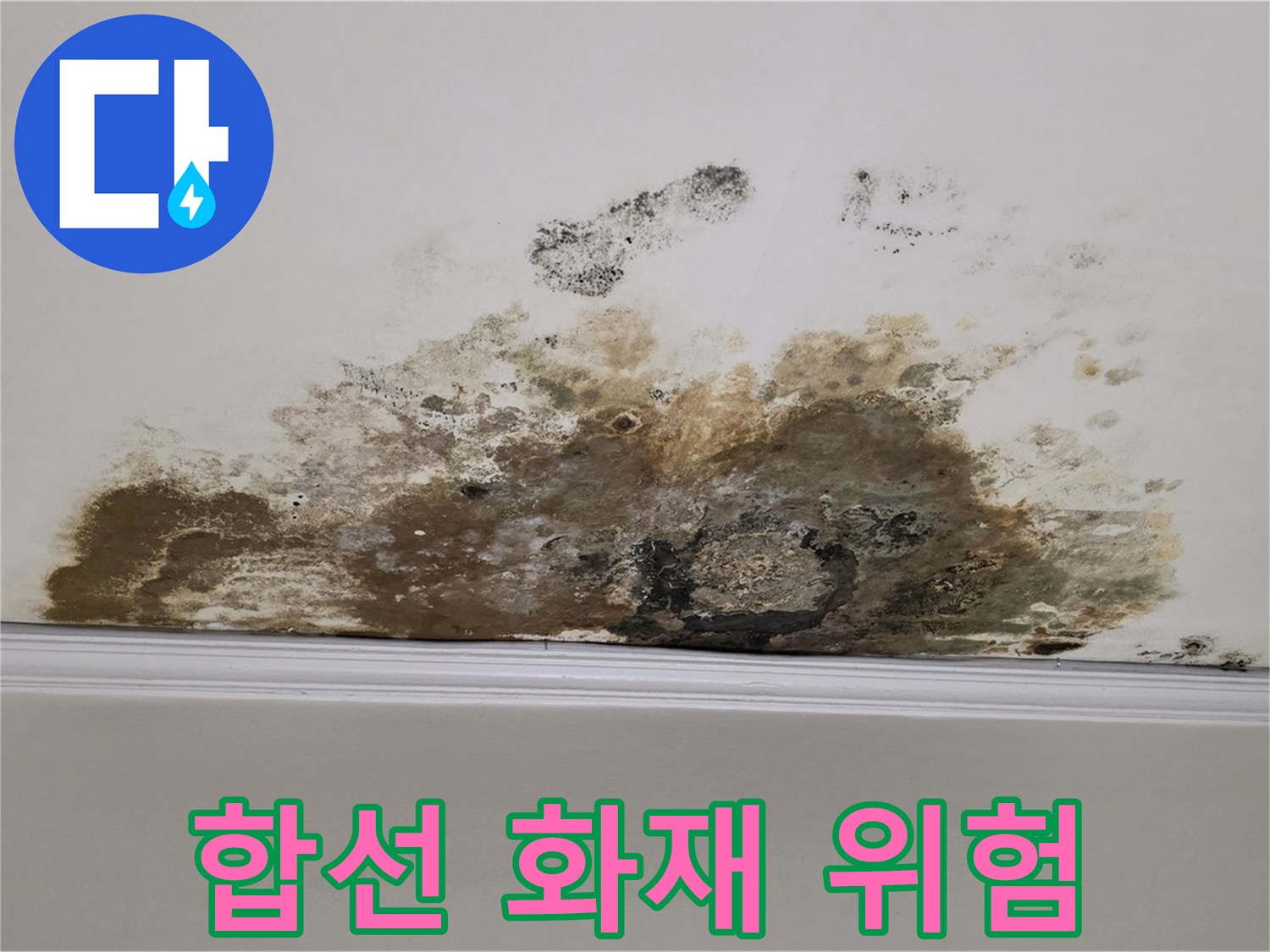 용강동 현대홈타운 아파트 누수 - 곰팡이 - 곰팡이 - 전기 합선 - 화재 위험 유발