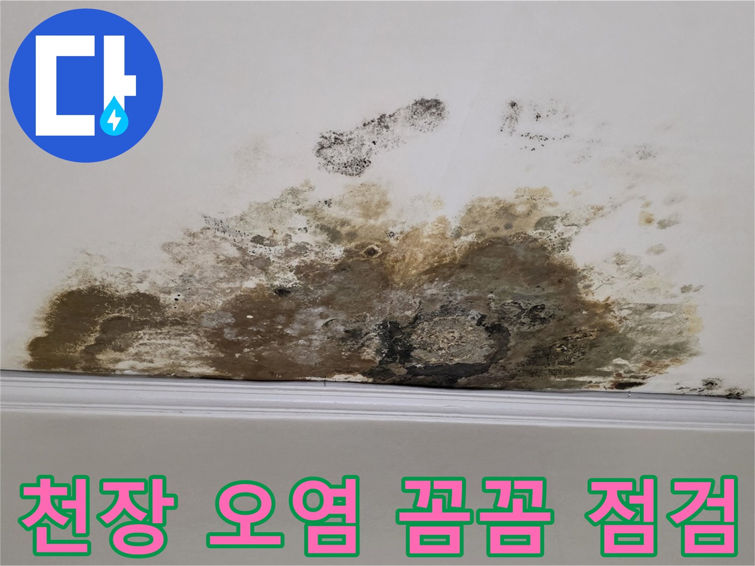 용강동 현대홈타운 아파트 누수 - 곰팡이 제거 전 심각한 천장 오염 상태 꼼꼼 점검 및 상세 공개