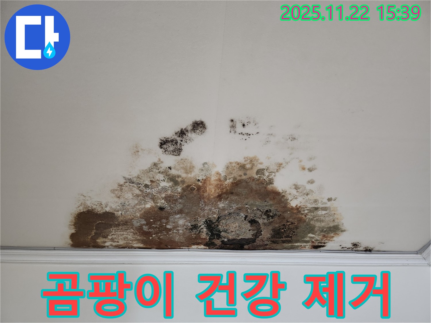 용강동 현대홈타운 아파트 - 천장 곰팡이가 건강을 위협 - 완벽 제거 시공