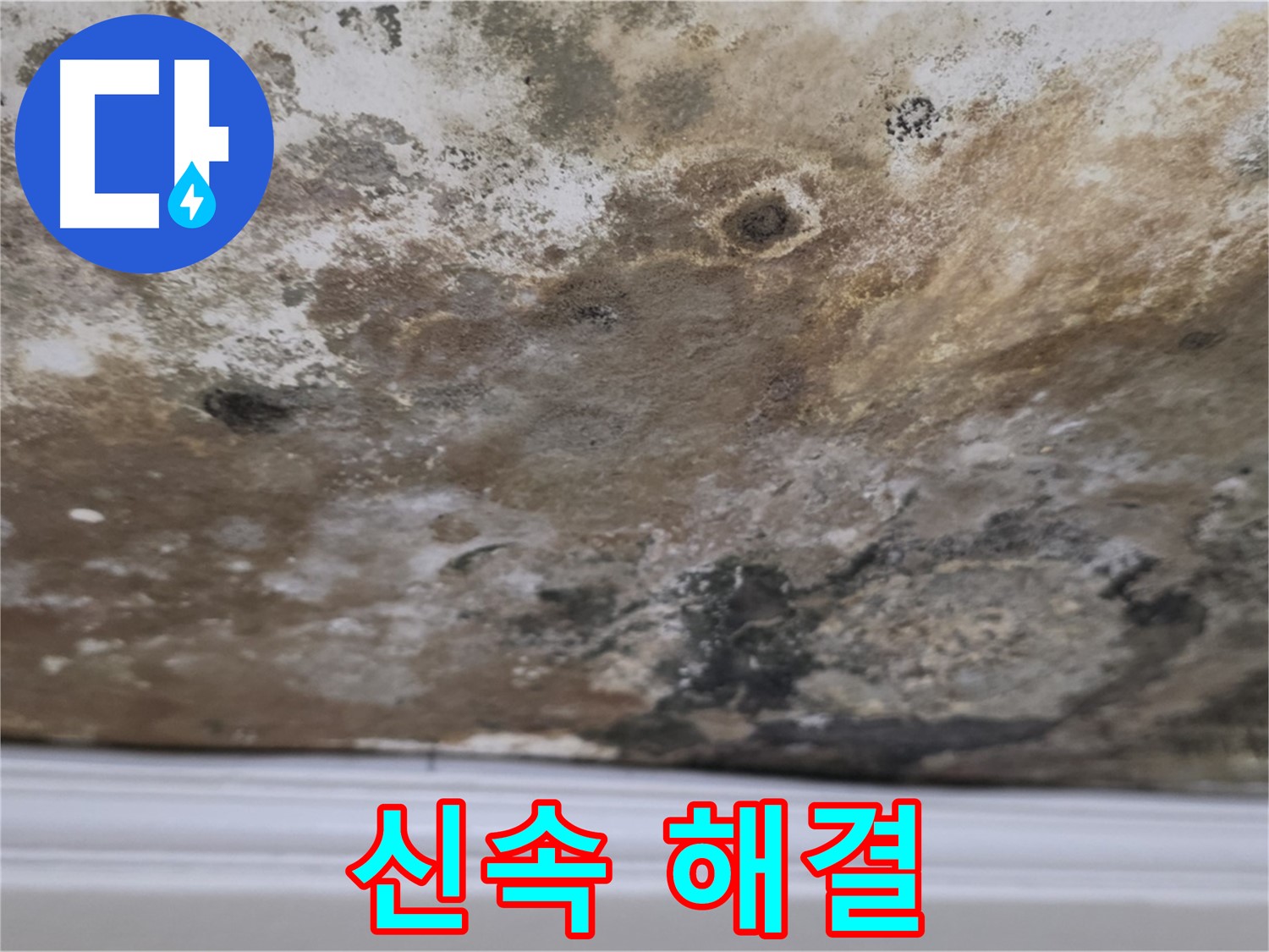 현대홈타운 곰팡이 천장 - 신속한 해결이 중요합니다