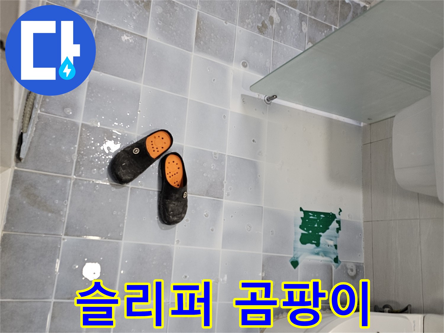 마포구 도화동 현대1차 - 욕실 슬리퍼, 곰팡이 번식 주의! 자주 건조해주세요!