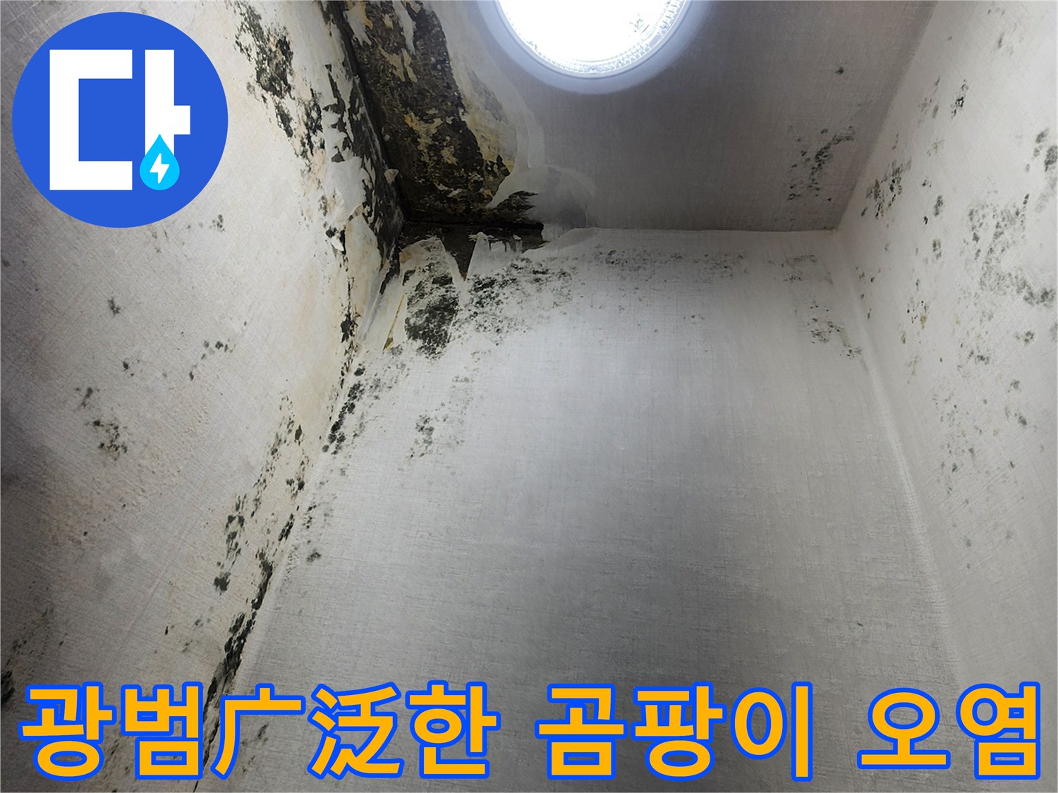 다용도실-벽면-전체에-퍼진-검은-곰팡이-상태