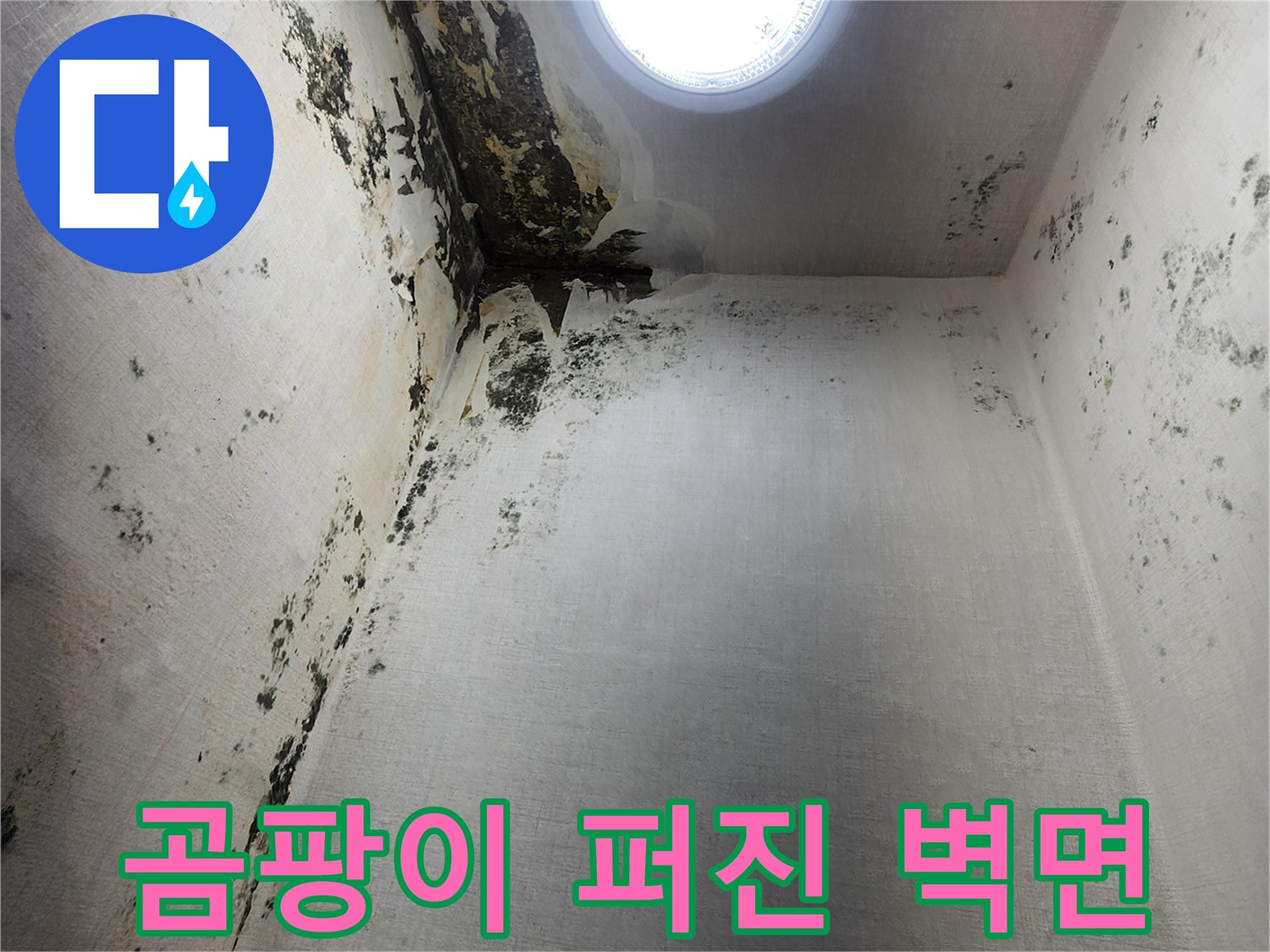다용도실-창문-아래쪽-심한-곰팡이와-벽체-부식