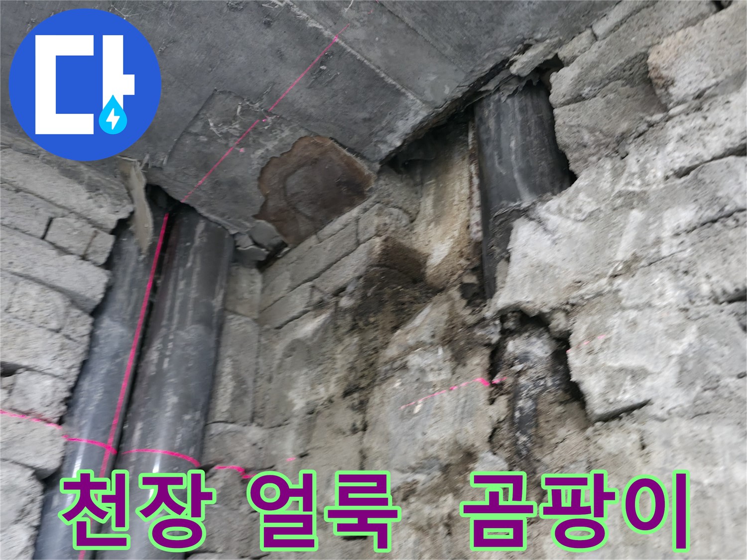 서초구 명달로4길 건물 누수 - 천장에 얼룩이 지고 곰팡이가 발생한 누수 현장입니다.