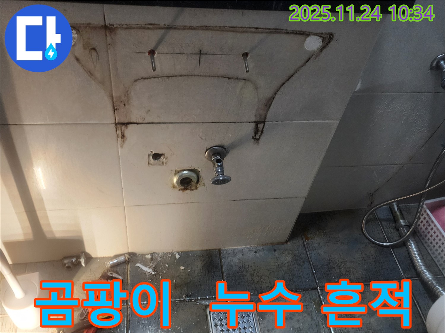 세면대 아래 곰팡이 - 포천시 가산면 금현리 누수 현장에서 곰팡이는 누수의 확실한 증거입니다.