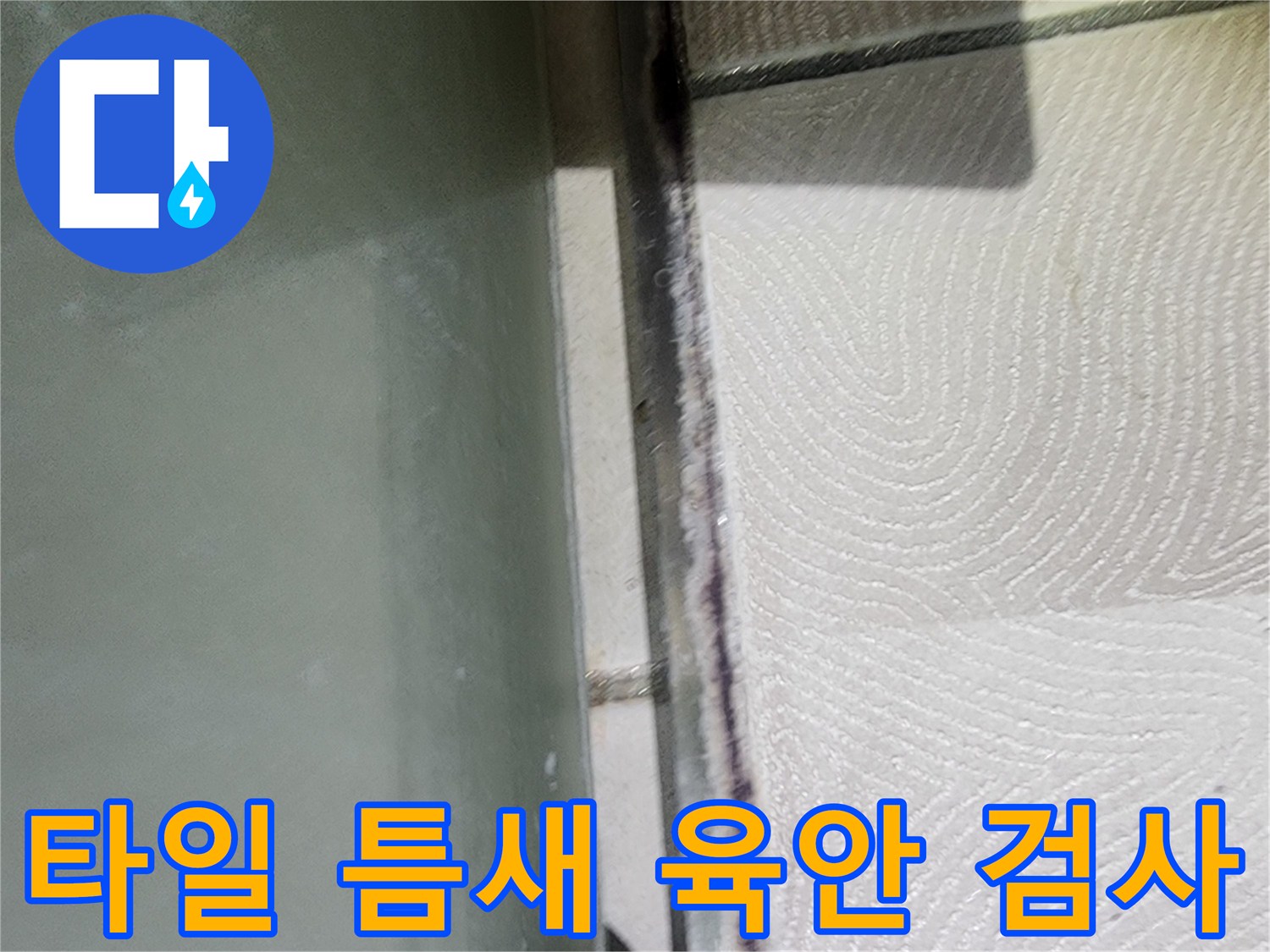 광교 e편한세상 아파트 누수 - 타일 틈새 육안 검사 중 곰팡이 발견