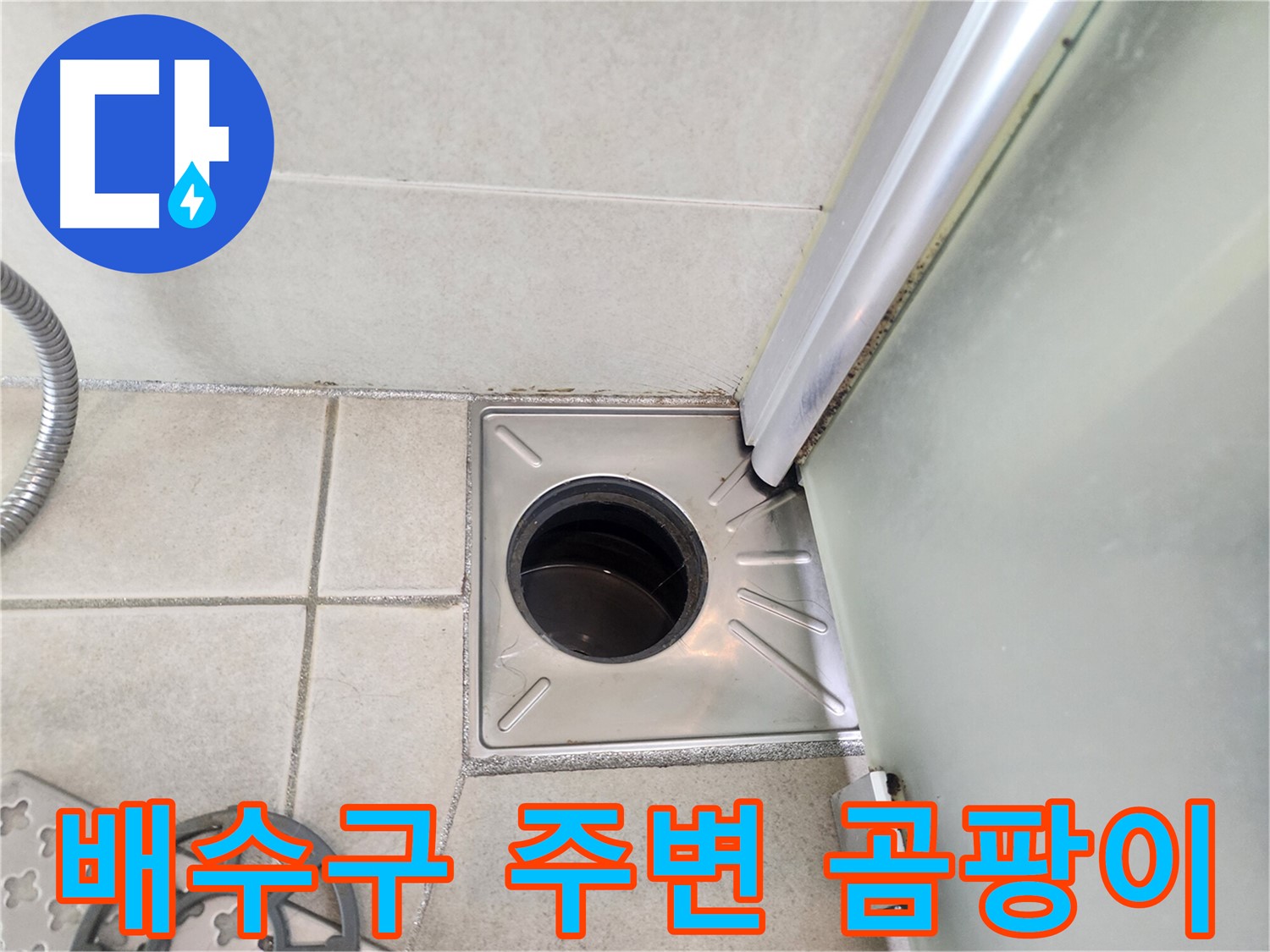 샤워부스 배수구 주변 곰팡이 심각 - 습한 환경과 누수 의심