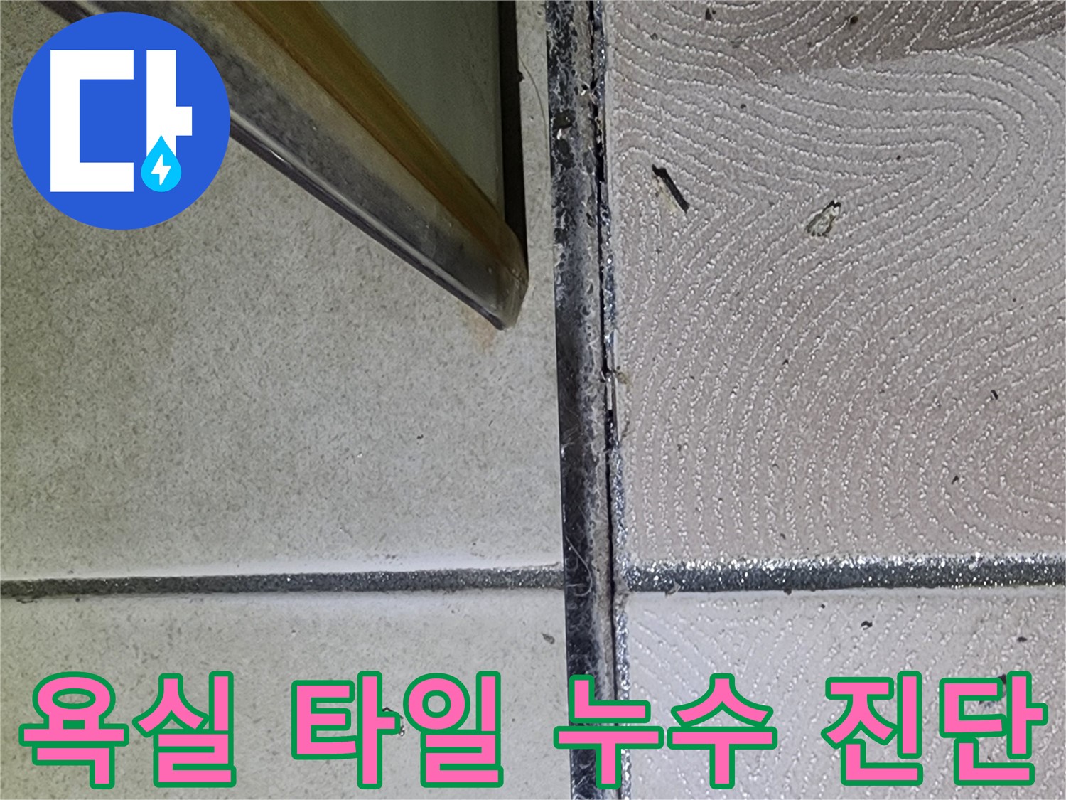 욕실 타일 틈새 누수 진단 - 광교 e편한세상 아파트 누수 원인 분석
