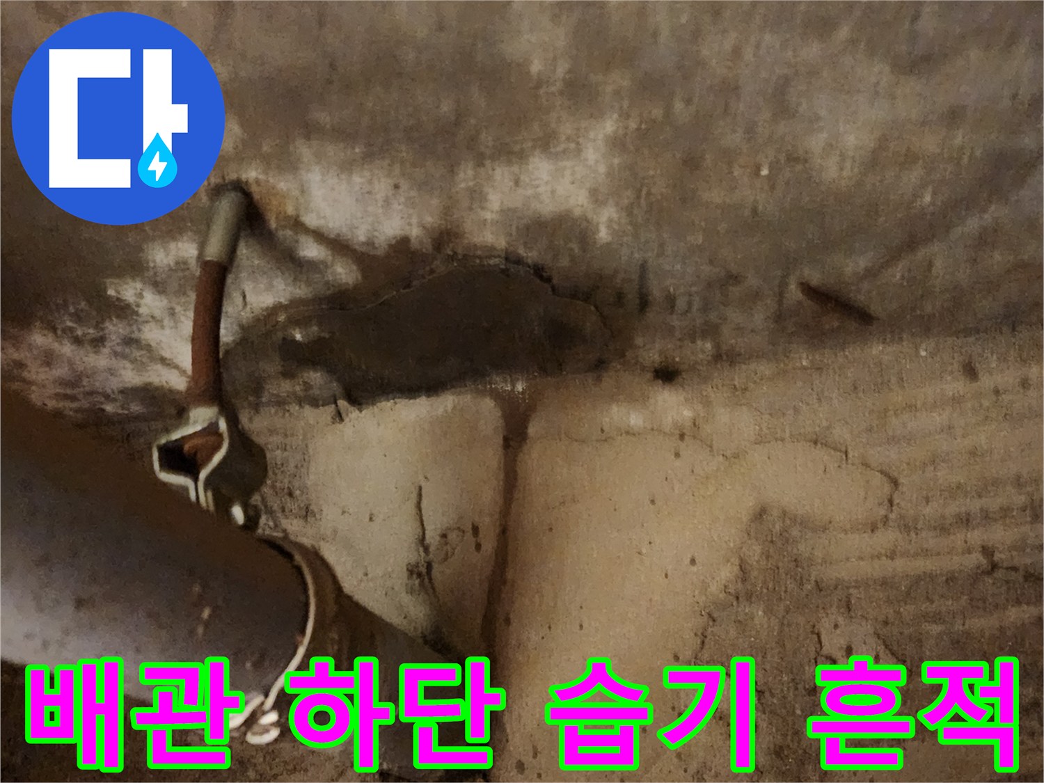 천장-내부-배관-주변-습윤-상태
