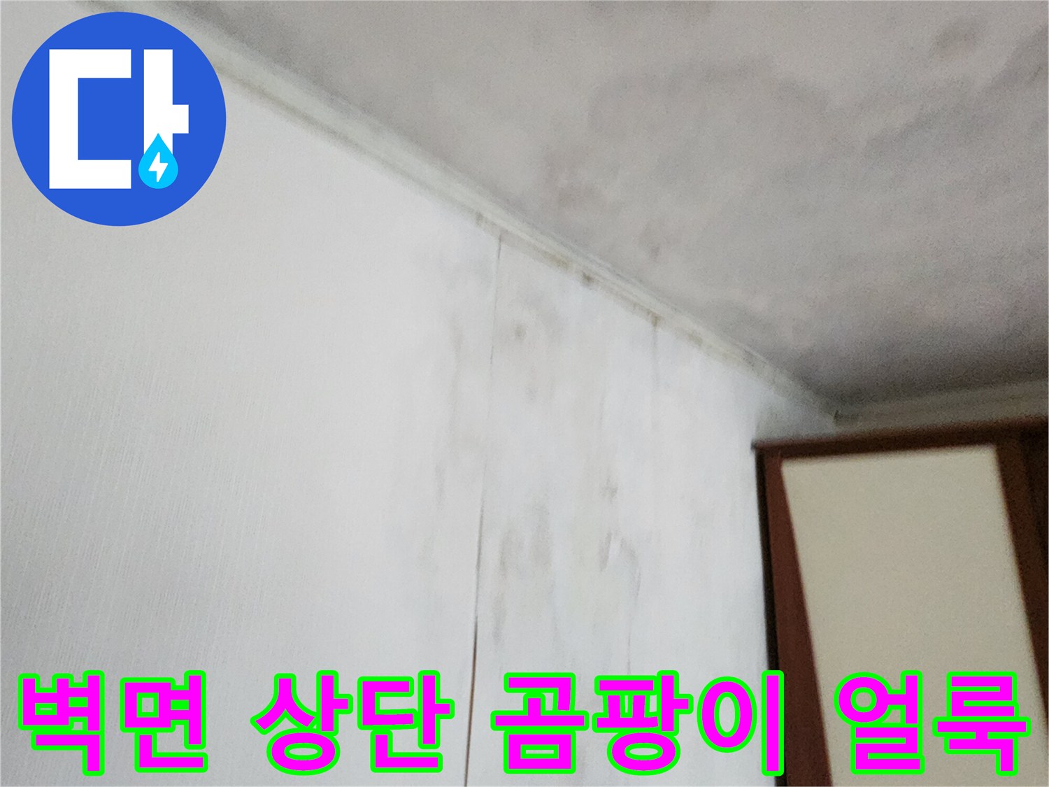 포천 가산면 건물-천장 경계면의 곰팡이 및 습기 오염