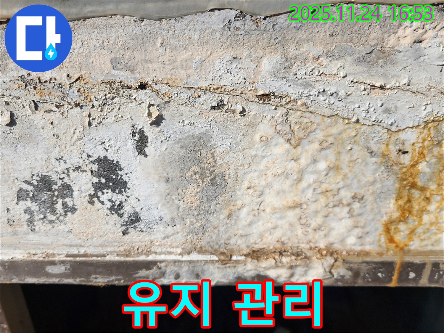 외벽 관리 - 깨끗하게 관리된 외벽 - 지속적인 유지 관리 중요