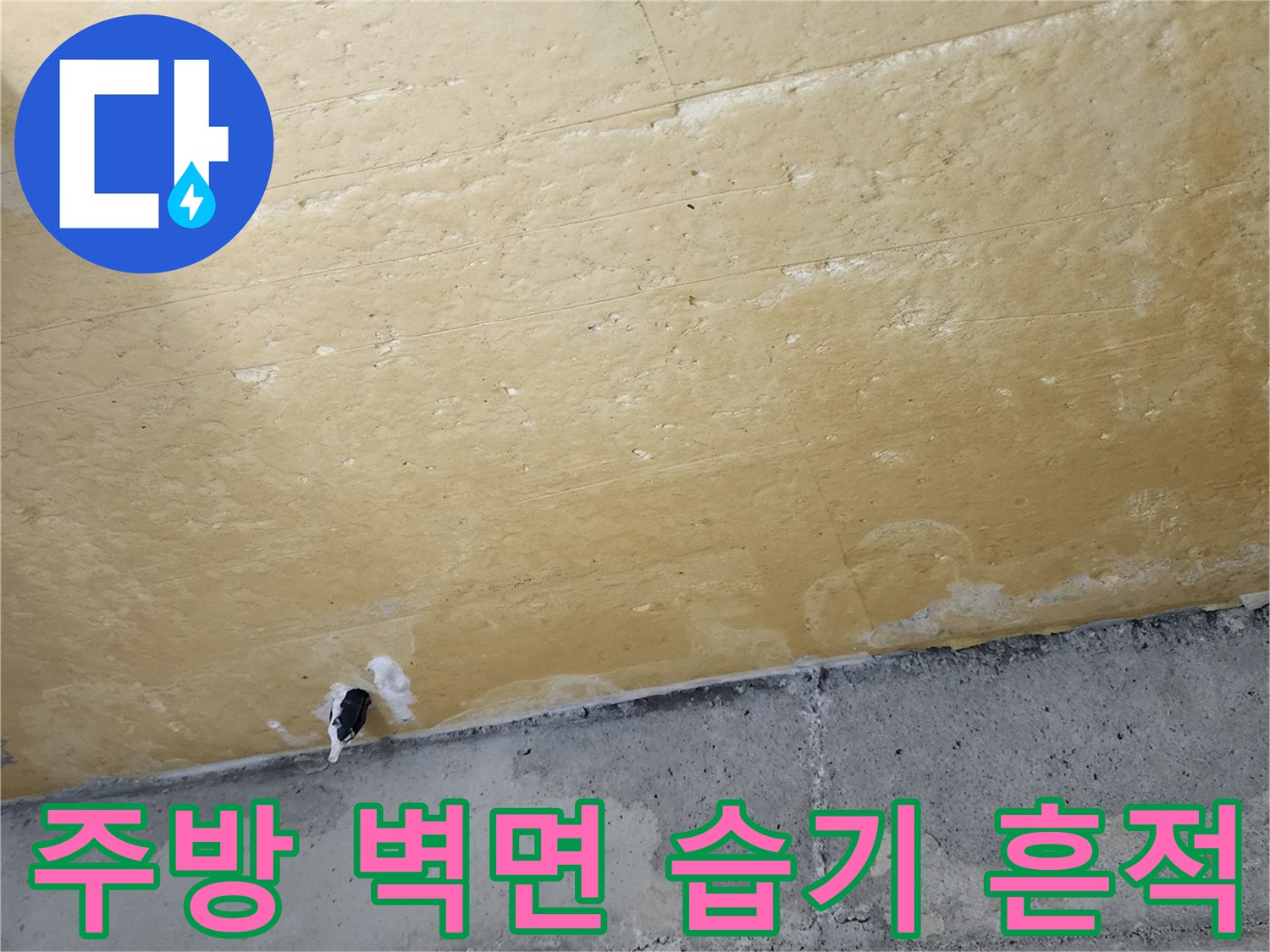 포천 신북면-상업 공간 주방 벽면 단열재의 습기 오염 상태
