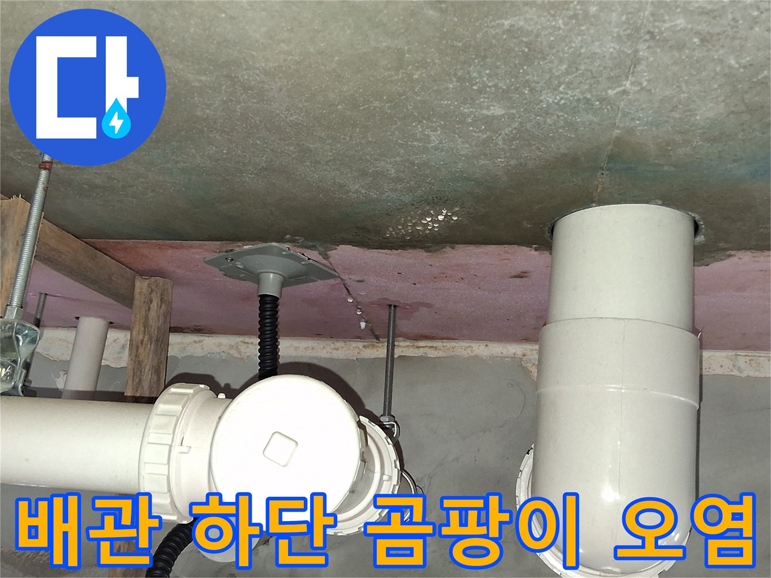 배관 하부 천장-슬라브의 젖은 흔적과 곰팡이