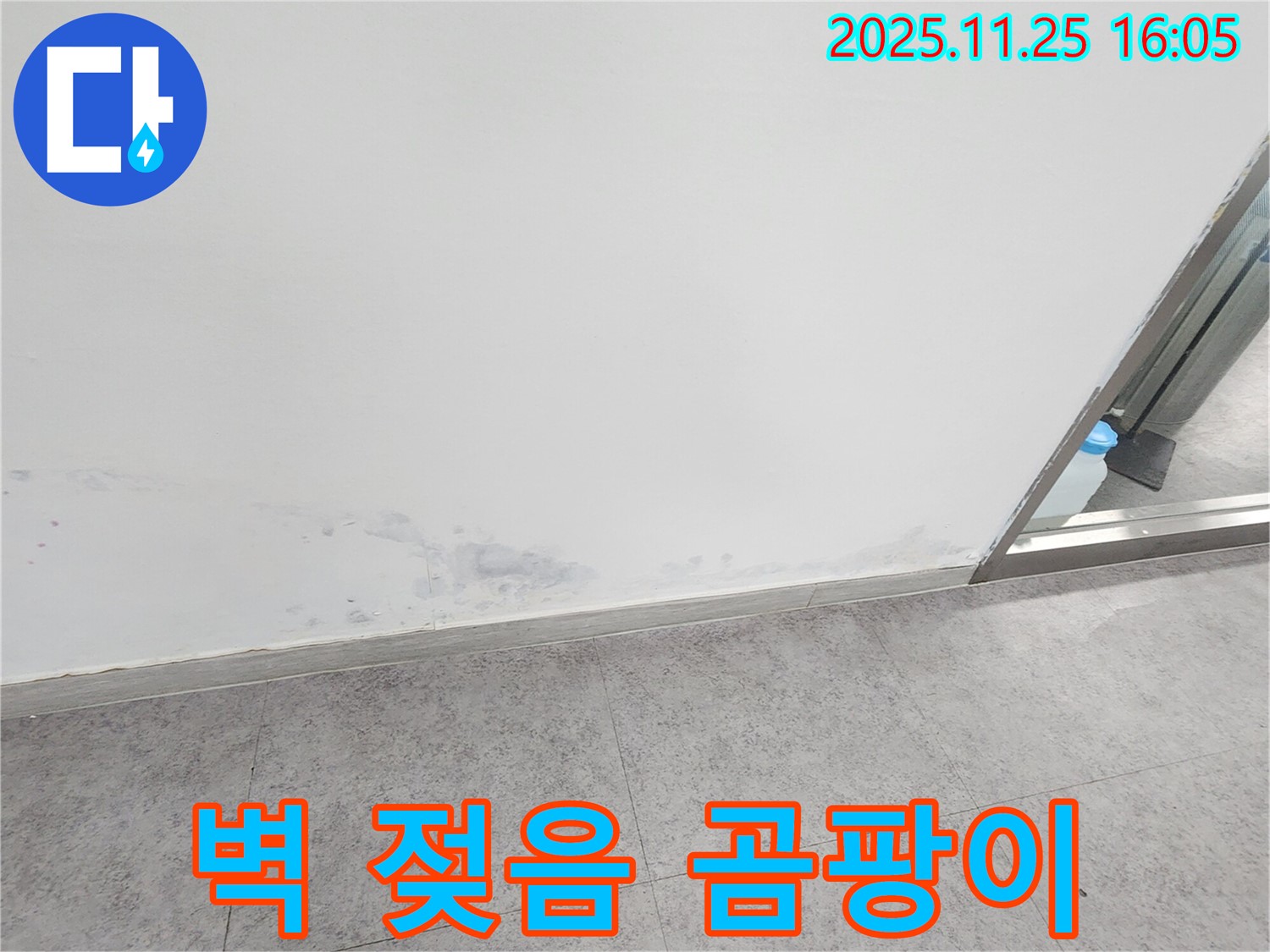 경기도 포천시 신북면 만세교리 - 젖은 벽과 곰팡이 발생 직전, 누수 가능성 진단