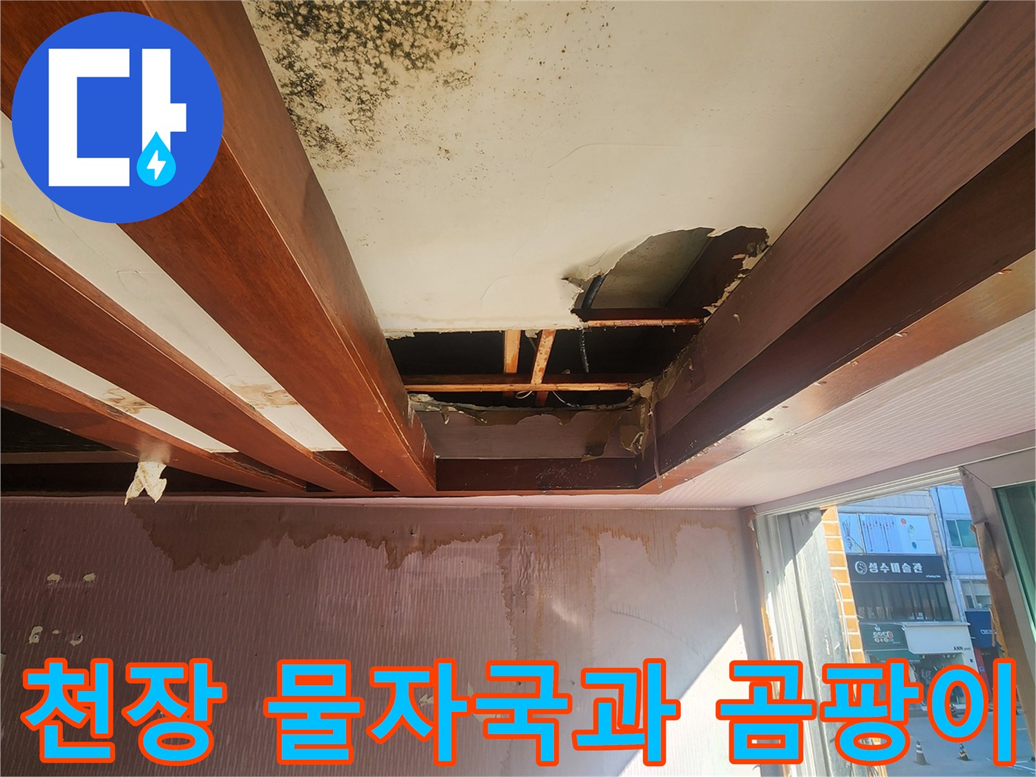 물기에-젖어-변색된-천장과-곰팡이가-핀-석고보드