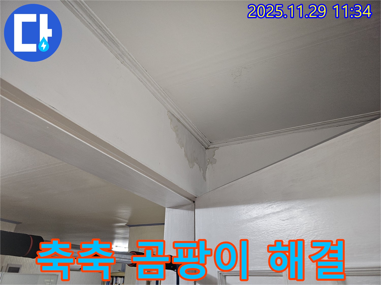 파주 광탄 누수 - 천장 축축, 곰팡이 번식 직전! 긴급 해결로 쾌적하게!