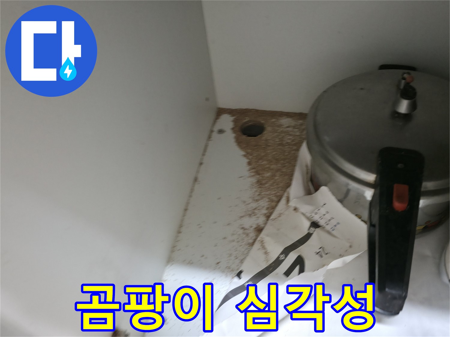 명달로4길 싱크대 누수 - 곰팡이 심각성 및 숨겨진 누수 점검
