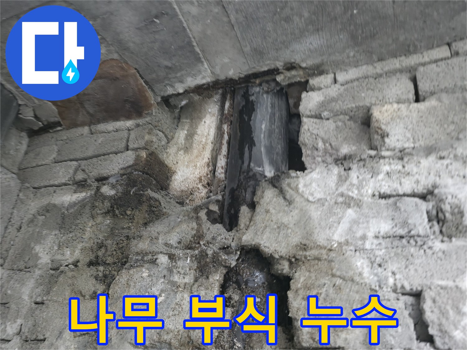 벽 속 나무 부식으로 인한 누수 - 썩은 나무에서 물이 뚝뚝 떨어지고 있습니다 - 부식된 나무를 제거해야 합니다.