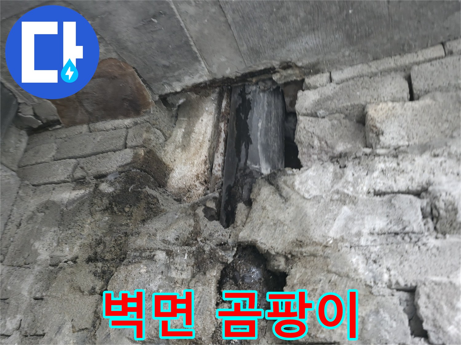 벽면 곰팡이 심각 - 누수로 인해 벽면에 곰팡이가 심하게 발생하여 곰팡이 포자가 날리는 상황입니다.