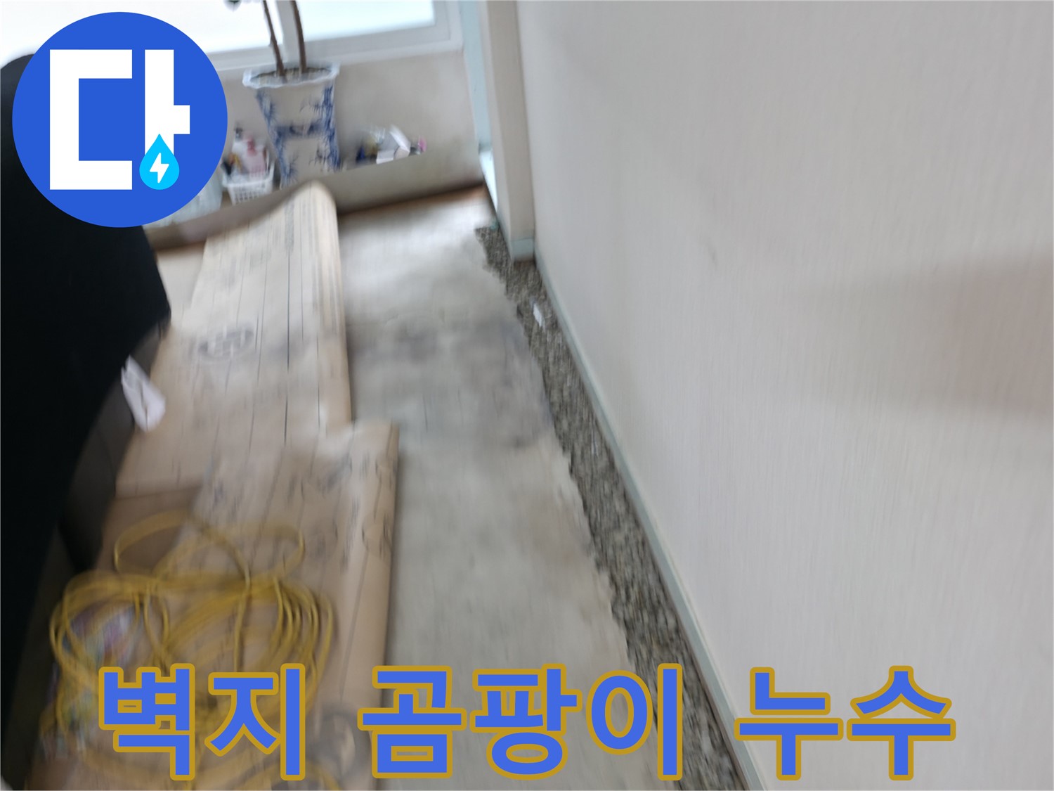 서초구 서초2동 곰팡이 슬어있는 벽 누수 해결 - 곰팡이의 원인이 되는 누수를 확실하게 해결합니다.