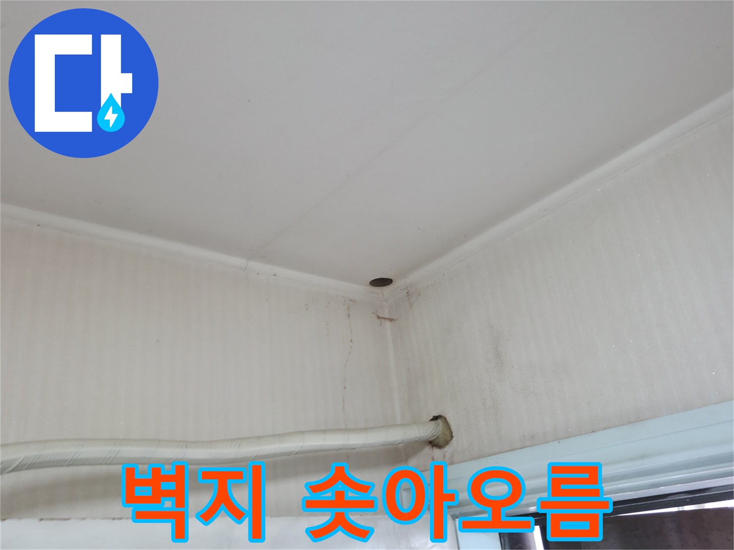 서초2동 341-1 벽지 솟아오름 - 숨겨진 누수 의심!