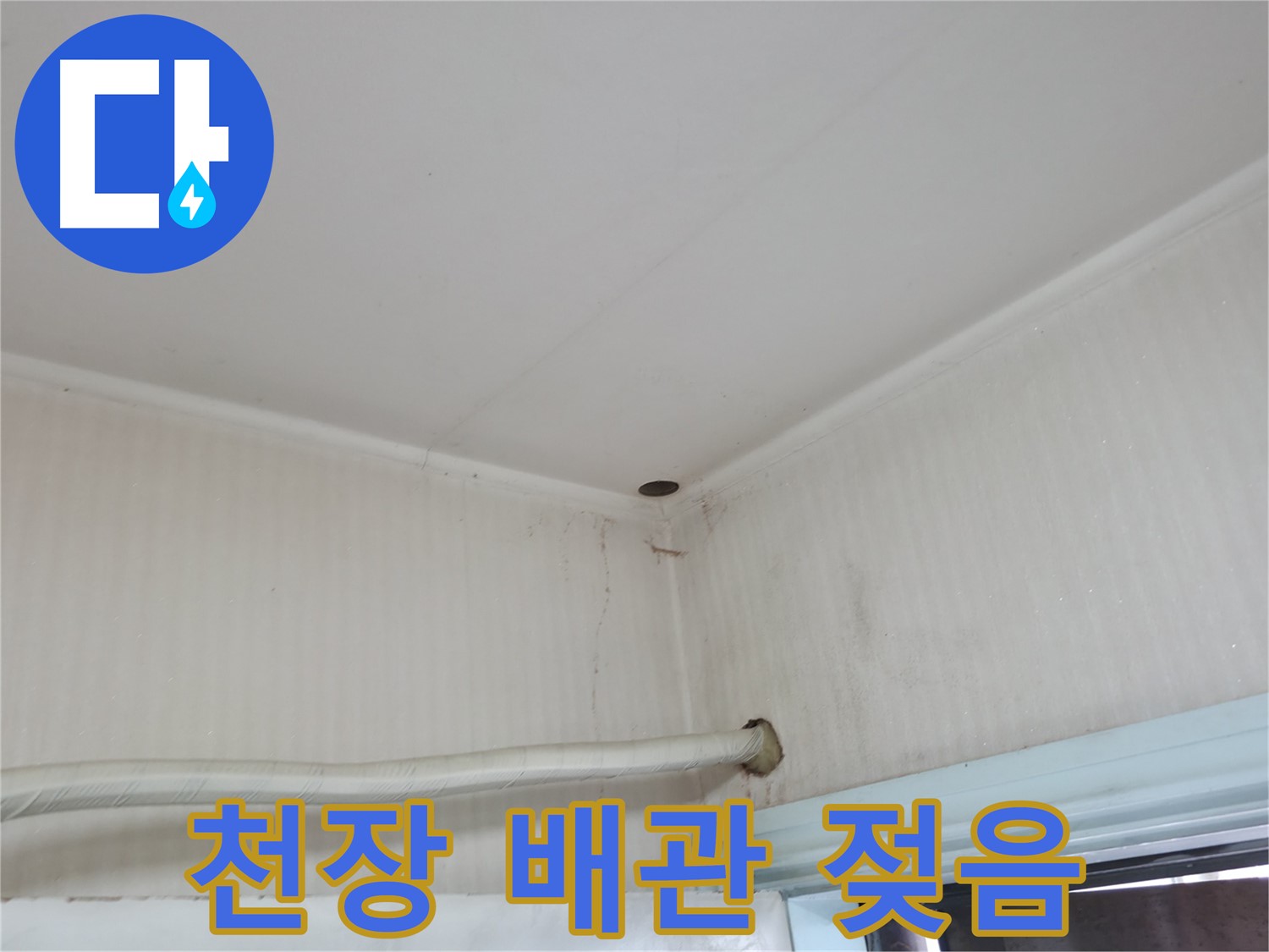 서초2동 341-1 천장 배관 - 숨겨진 누수 의심!