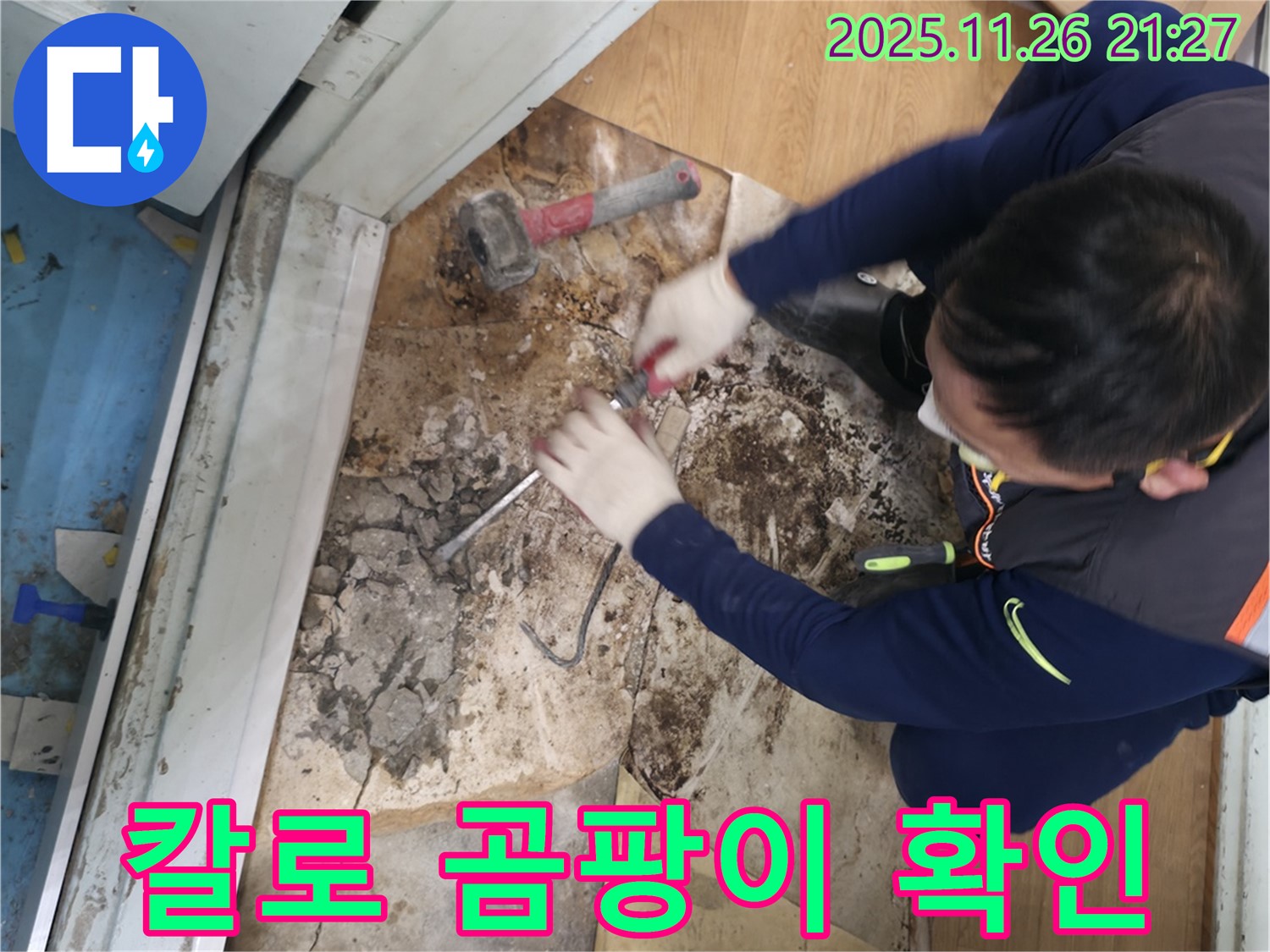 서초2동 명달로 칼로 곰팡이 확인 - 장판을 칼로 들어올려 곰팡이 상태를 확인하는 모습, 마치 판도라 상자를 여는 듯합니다.