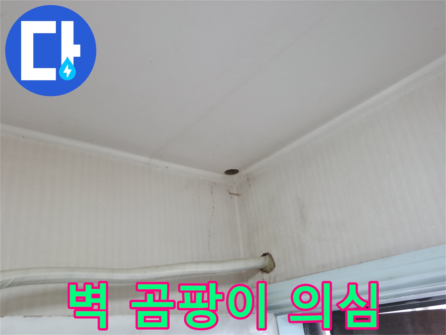 서초2동 명달로4길 벽 얼룩 - 곰팡이 발생 가능성 점검!