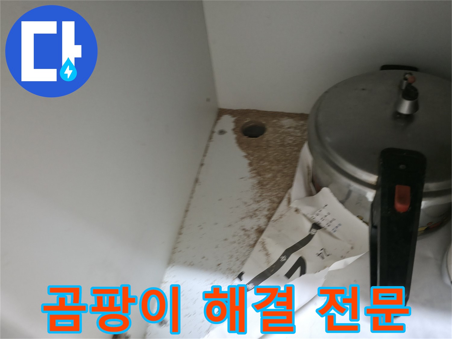 싱크대 하부 - 톱밥 - 정확한 진단 - 완벽한 시공