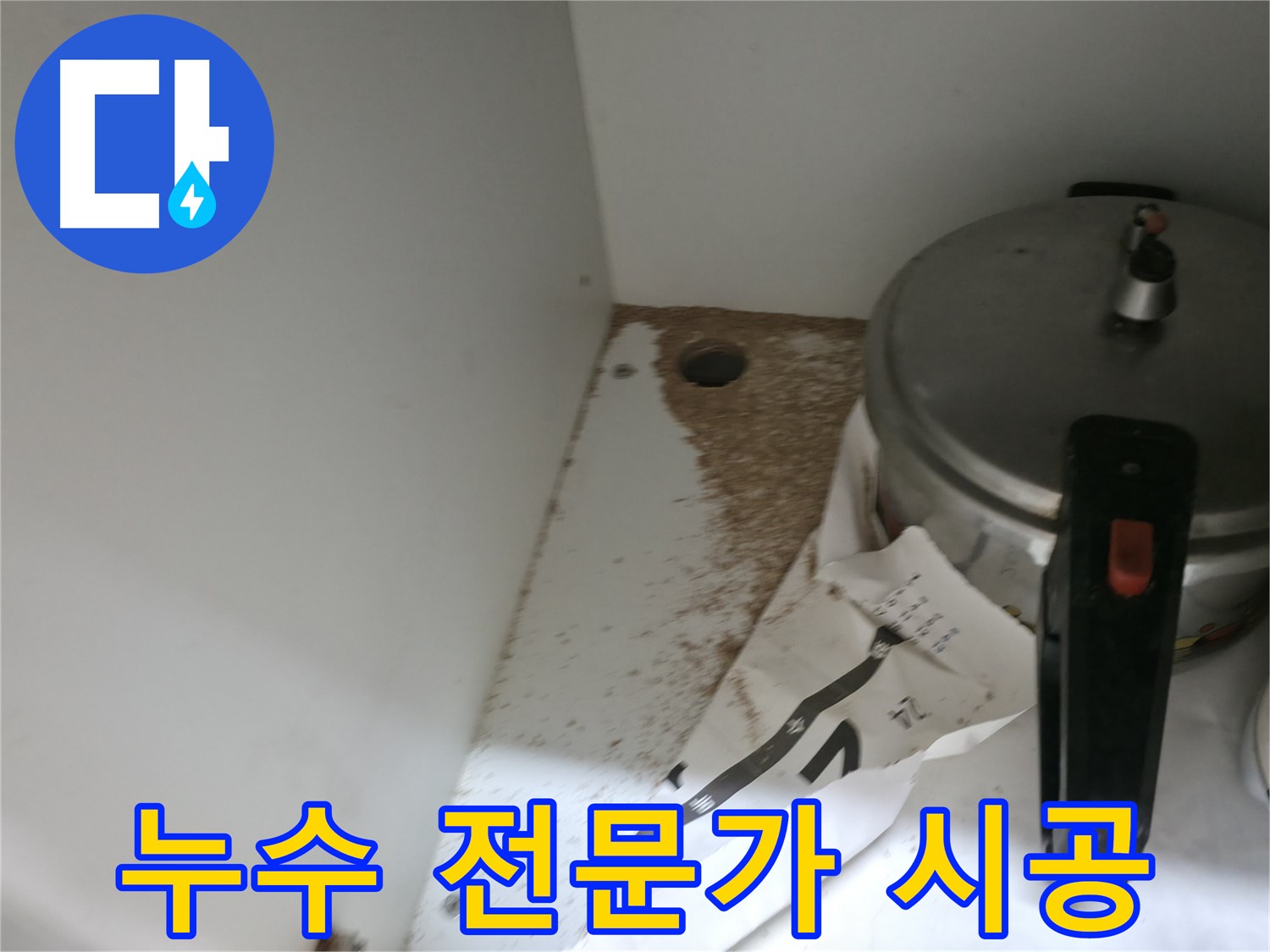 싱크대 밑 - 톱밥 - 습기 - 곰팡이 번식 위험