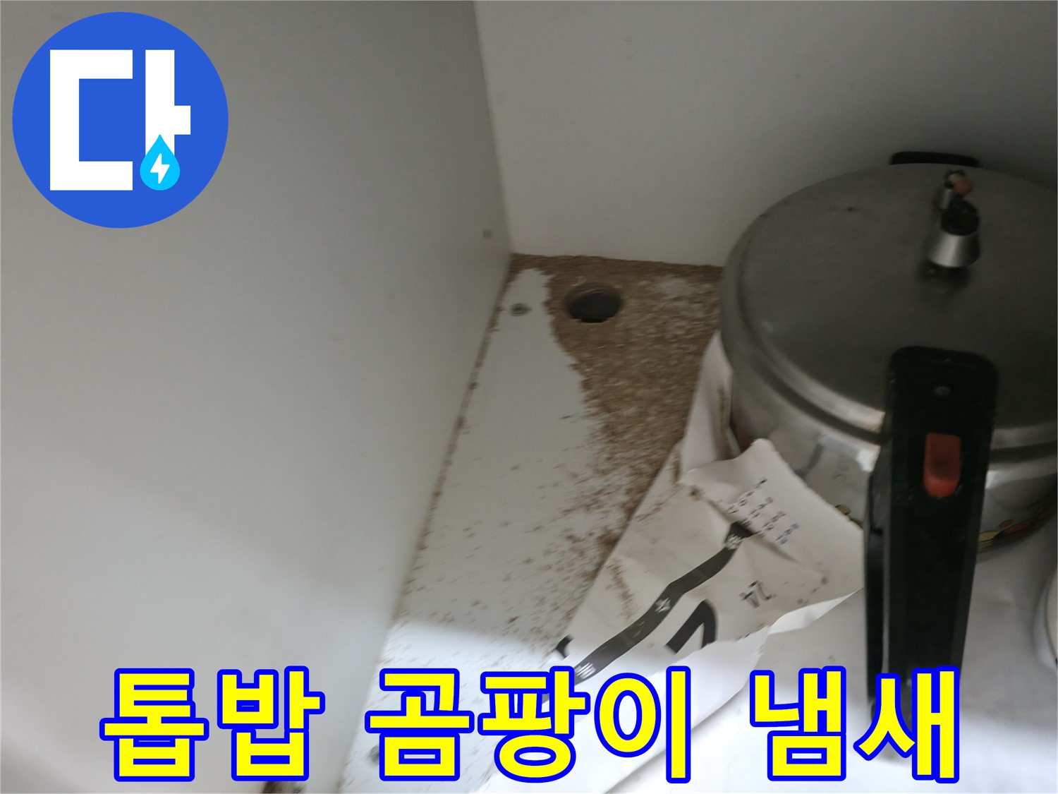 서초2동 싱크대 누수 - 톱밥, 곰팡이 냄새 주범, 확실한 누수 해결