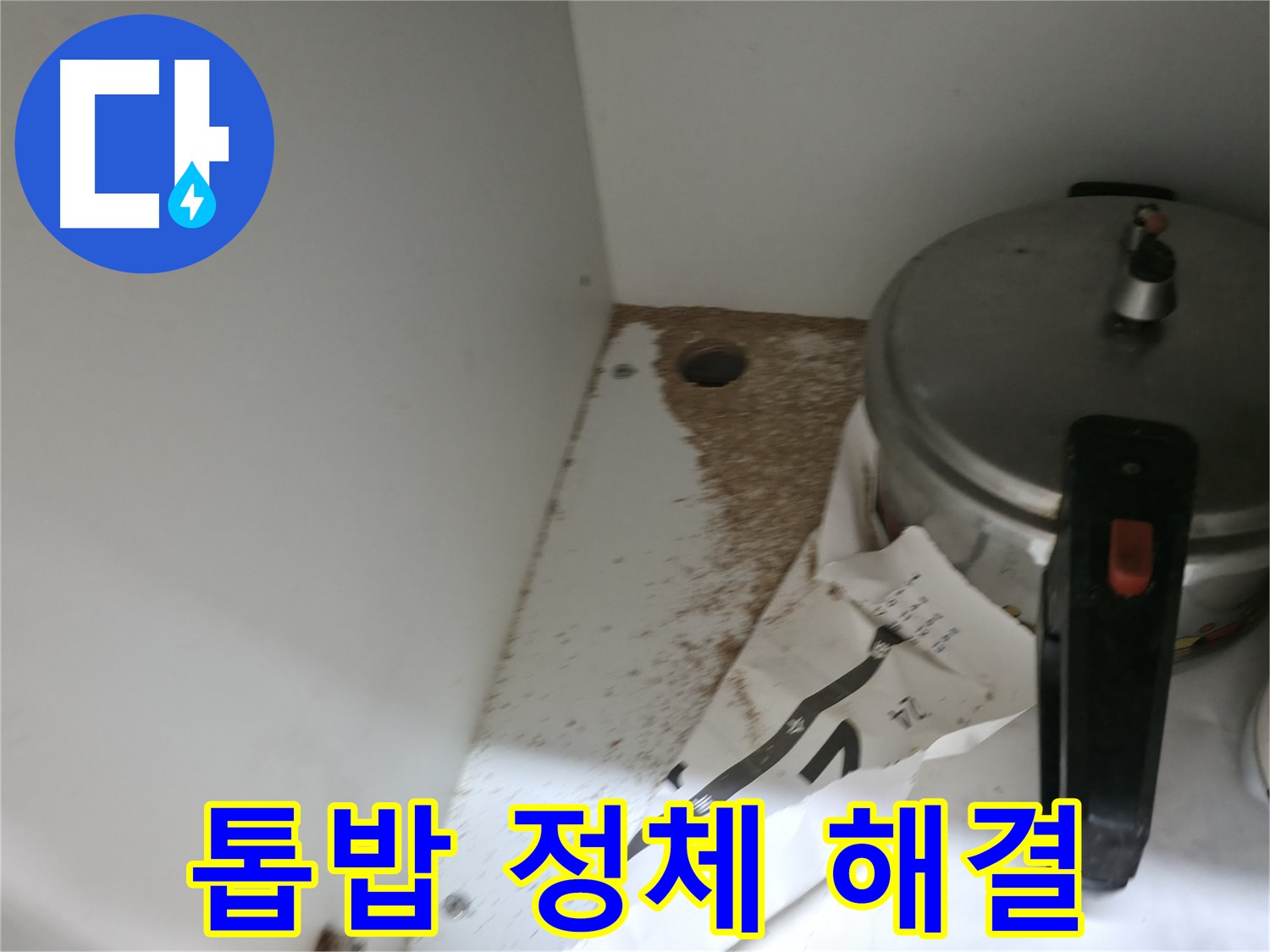 싱크대 밑 - 톱밥 - 곰팡이 번식 - 건강 위협