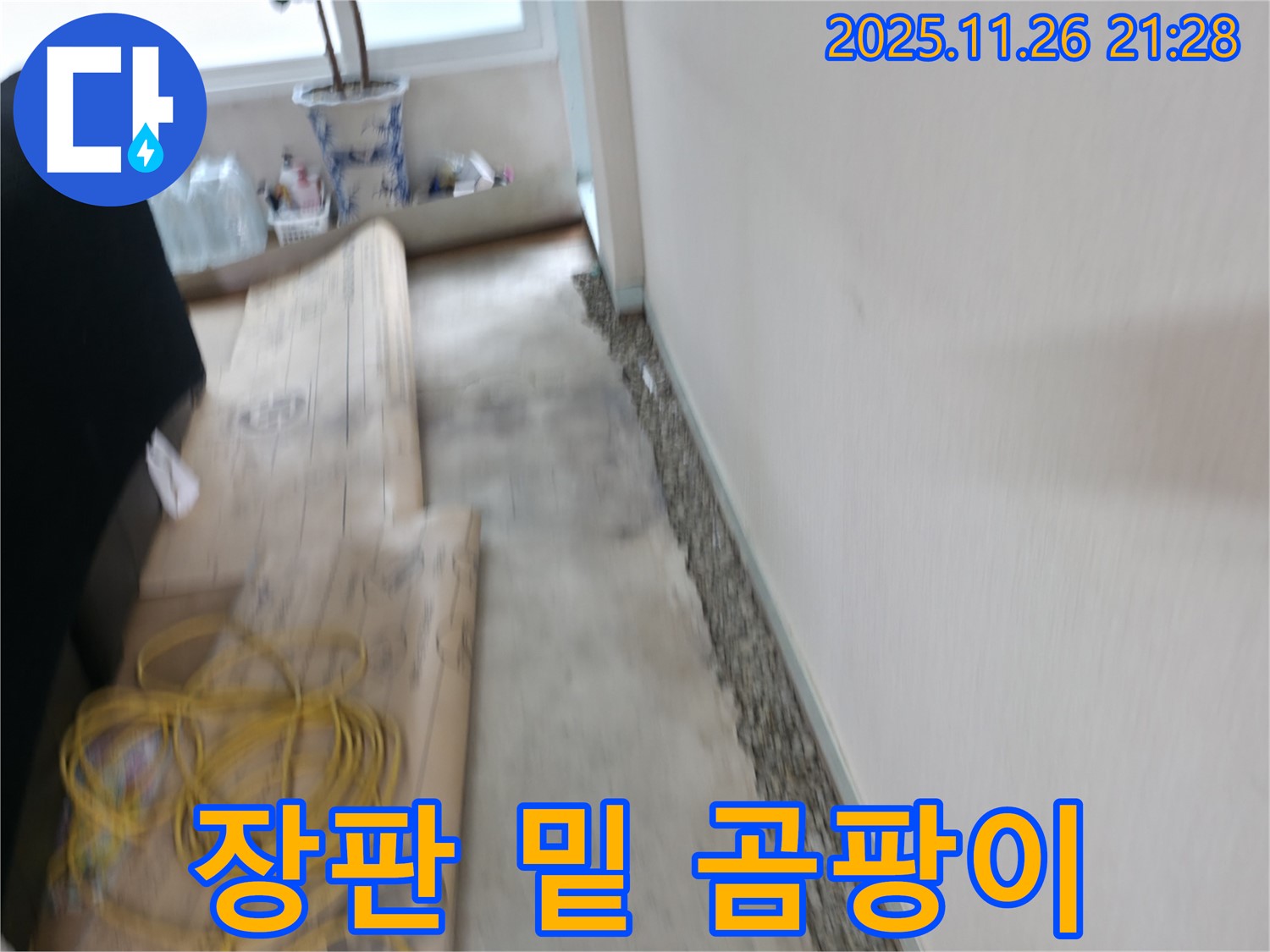 서초2동 장판 밑 곰팡이 누수 해결 - 쾌적한 보금자리로 만들어 드립니다!