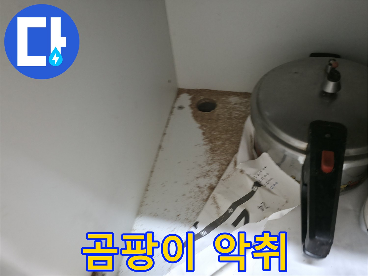 서초구 명달로 싱크대 누수 - 곰팡이 악취 및 누수 원인 점검